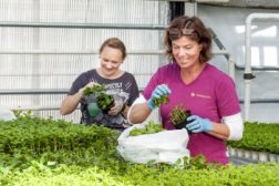 Testing av arbeidstakere og lettelse på reiserestriksjoner.