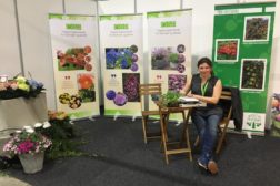 Norske blomster på årets Hagemesse