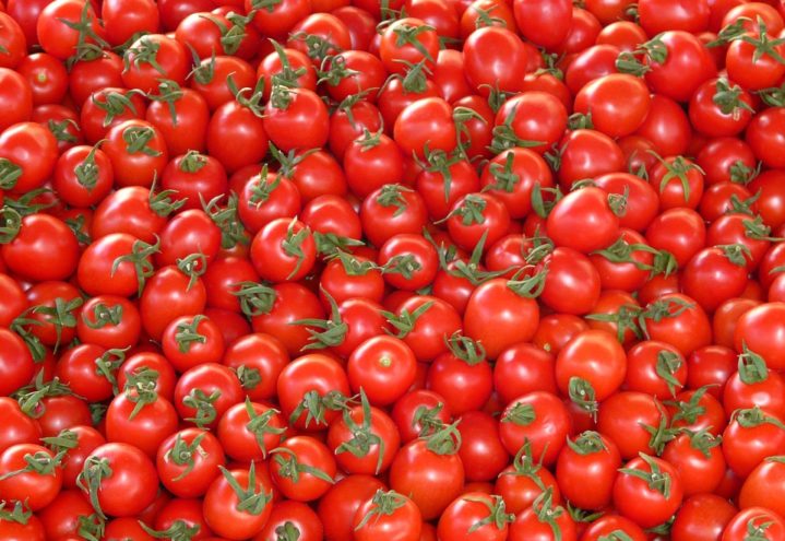 Tomatfestivalen 2019 på Finnøy