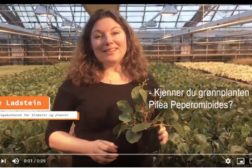 Bli med i gartneriet