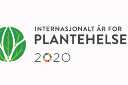 Plantehelseåret 2020