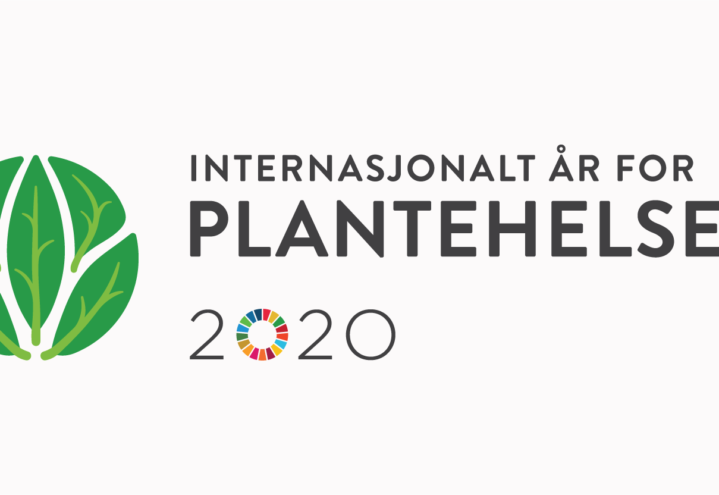 Plantehelseåret 2020